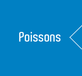 Poissons