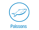 bouton-poissons