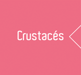 Crustaces