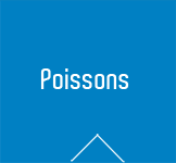 Poissons